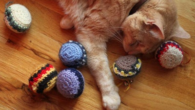 Happy ginger cat lying among crocheted balls