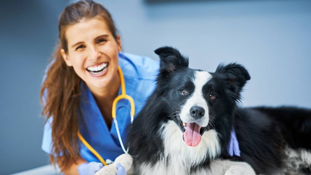 A smiling vet leans on a table and a happy dog is sitting next to her