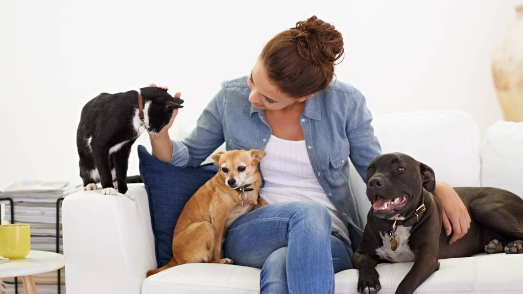 A smiling woman sits on a sofa cuddling her two pet dogs and her cat