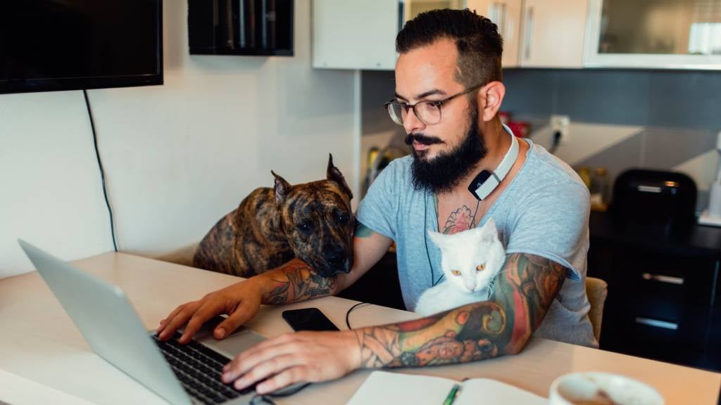 Man reviews pet insurance at his desk with his cat on his lap and his dog next to him