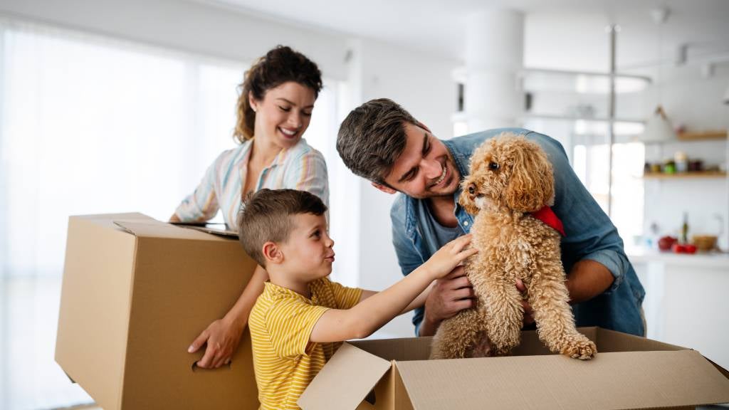 A woman carries a box while a man and a boy play with a dog inside a box