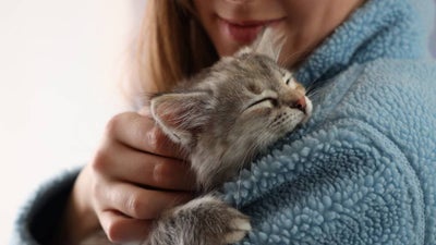 A woman cuddles a little tabby kitten against her shoulder