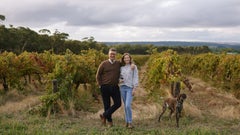 Bec Hardy Wines | Pertaringa