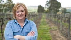 Levrier Wines by Jo Irvine