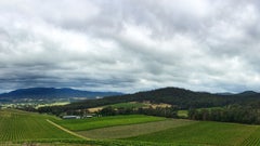 Victorian Alps Wine Co.