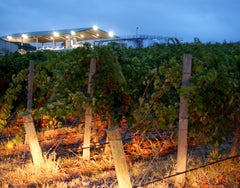 Haselgrove Wines