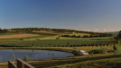 Helen and Joey Estate