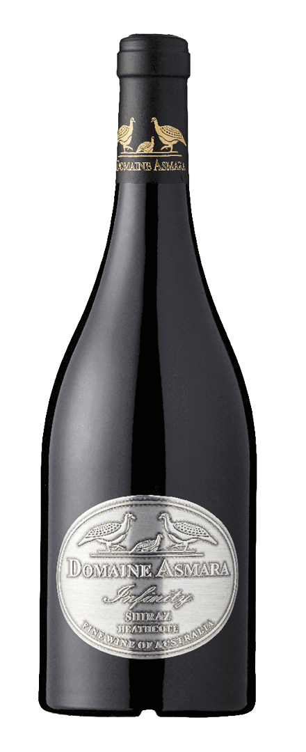 Infinity Shiraz 2019