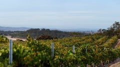 Schubert Estate, Hare's Chase