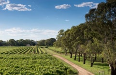 Bleasdale Vineyards