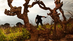 Cirillo Estate Wines