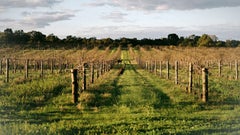 Golden Amrita Winery