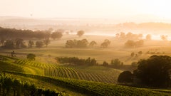 Periscope Management