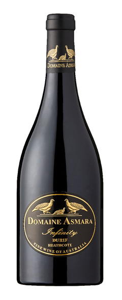 Infinity Shiraz 2019