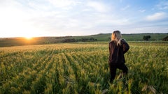 Wakefield Taylors Family Wines