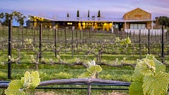 Angove Family Winemakers