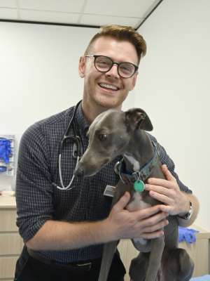 Dr. Tim Hopkins caring for a puppy at his veterinary office