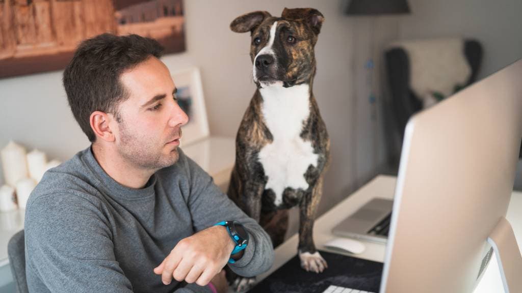 Man working at a home office desk with a dog sitting beside the computer