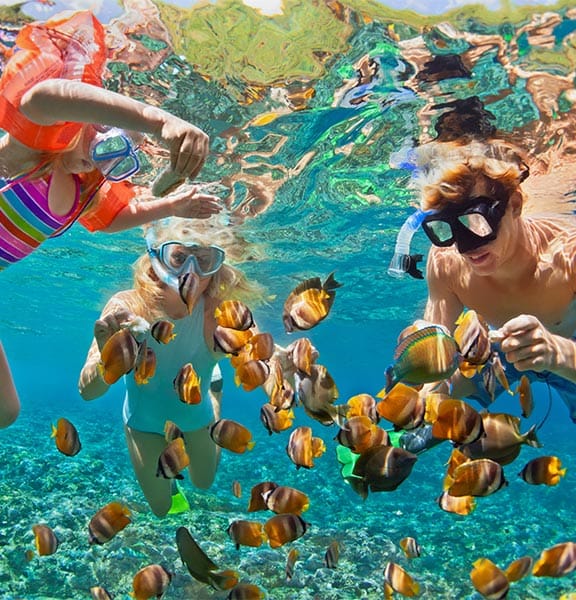 Epidemics and Pandemics