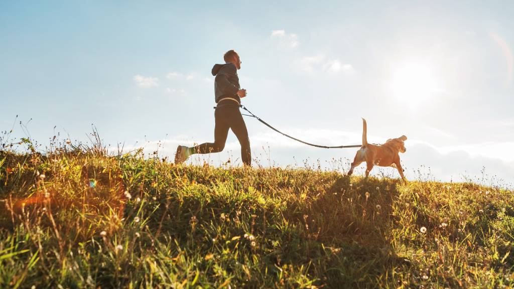 Man jogging with dog on a leash in grassy park 