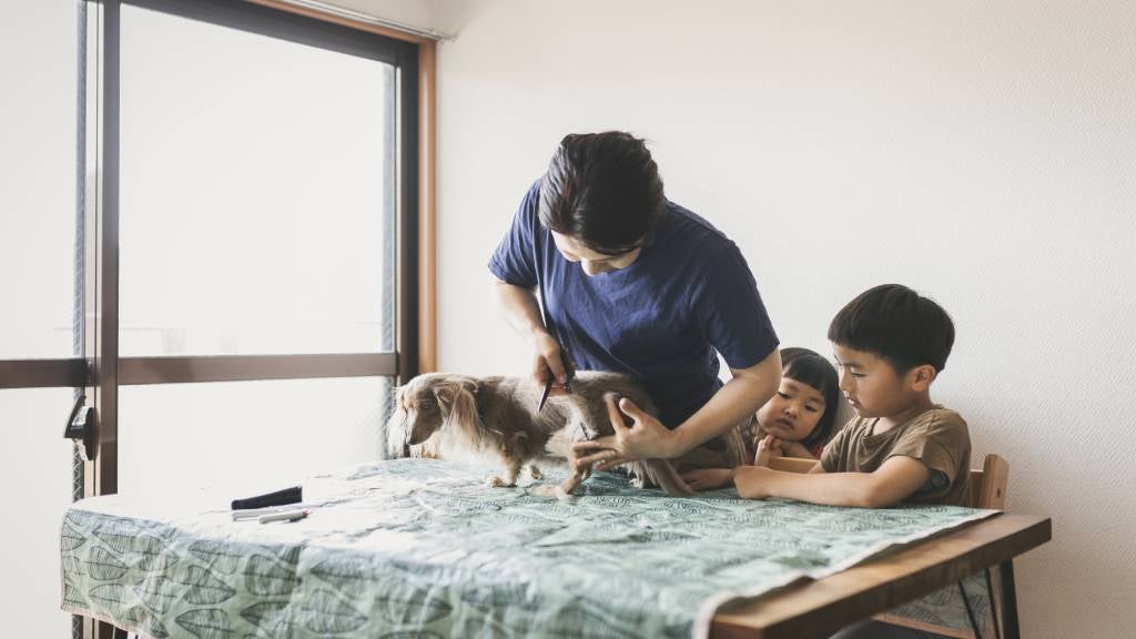 Mother and sons groom their dog on a table.