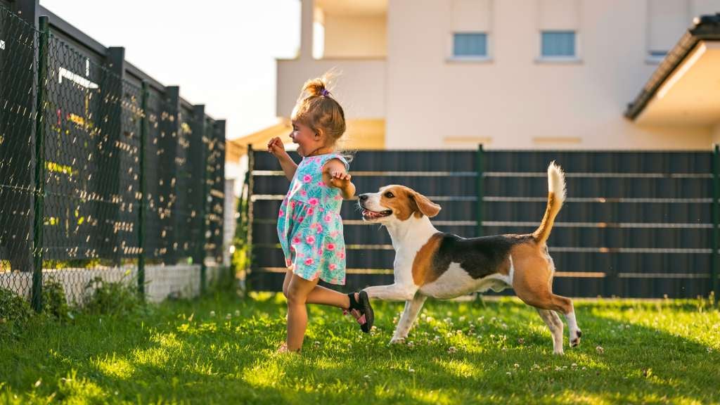 Young girl playing in her backyard with a beagle