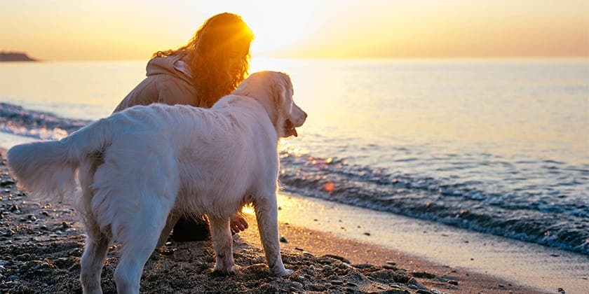 woman and dog on beach holiday