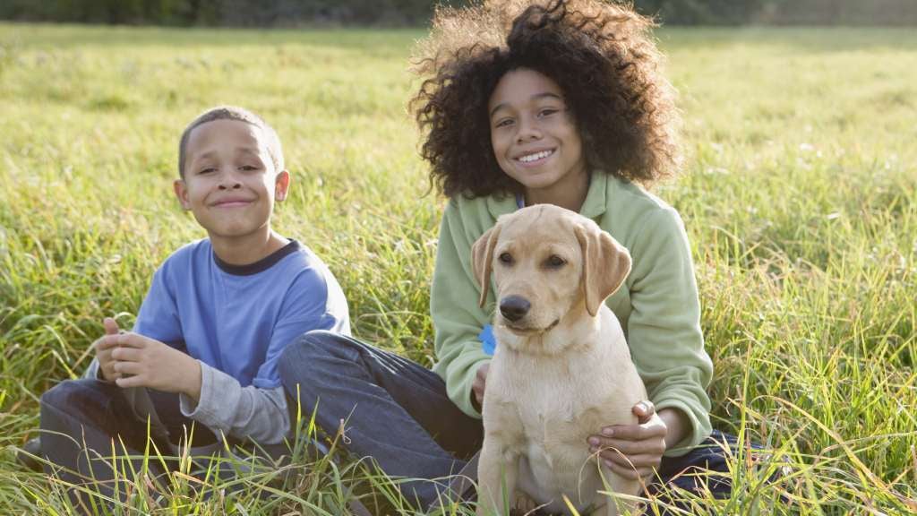Siblings sit on grass with their golden retriever puppy
