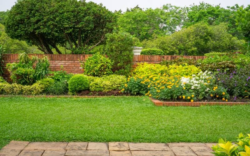 Garden and dividing wall 