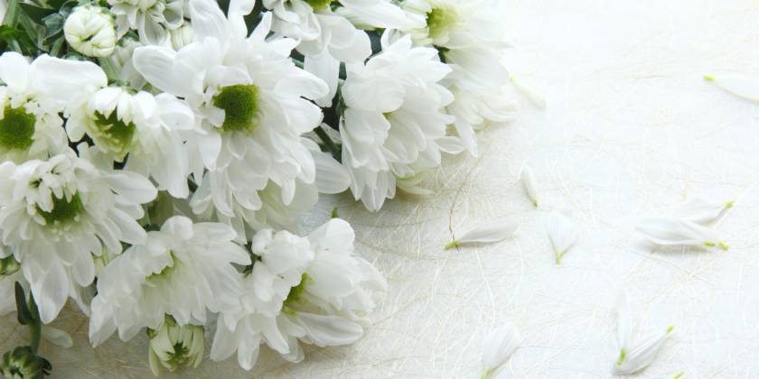 bunch of white flowers for a funeral