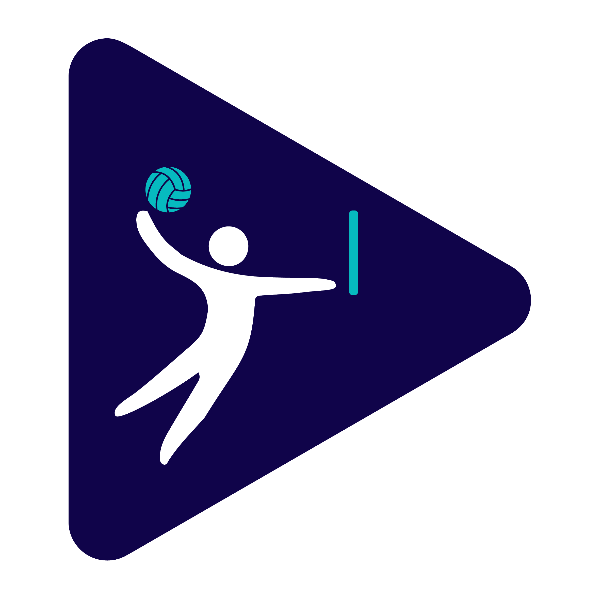SSV_Icon_Volleyball.png