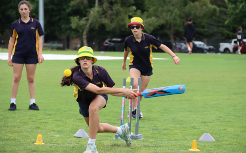Cricket-Small.png