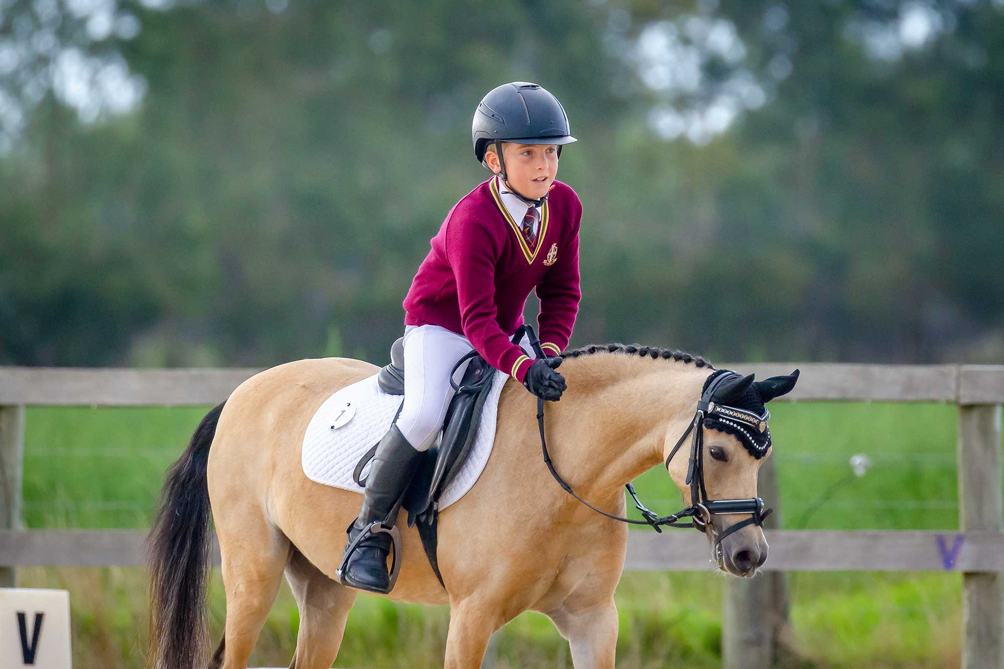Equestrian - Slider_HARRISON_Thomas_Brampton_Infinity_Flinders_Christian.jpg