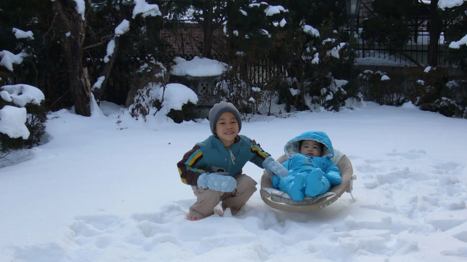 WordPress Image 111247014