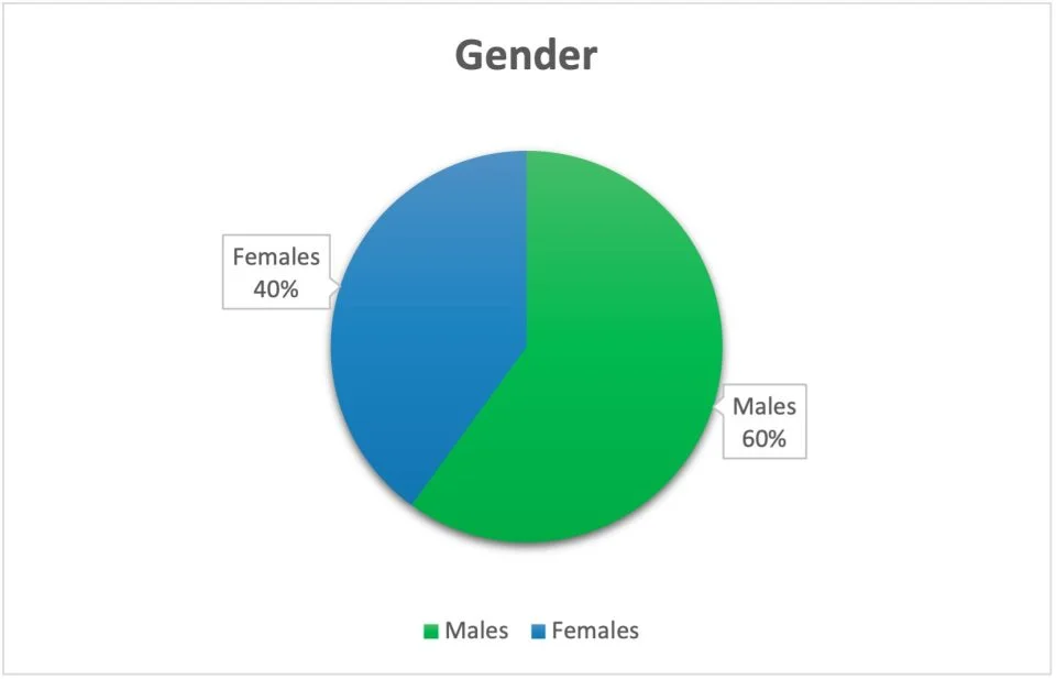 Chart 2: Gender mix