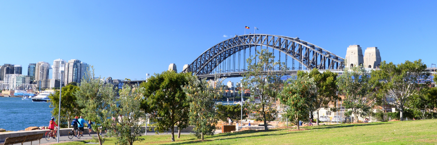Image of Sydney Harbour Bridge from Baranagaraoo lawn 