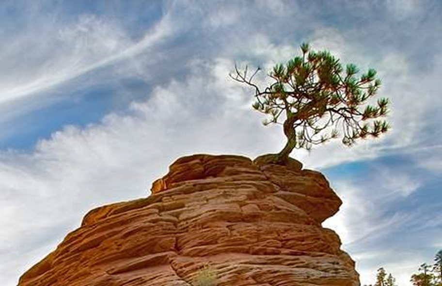 Resilience 1