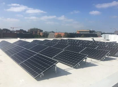 WordPress Image 111250583