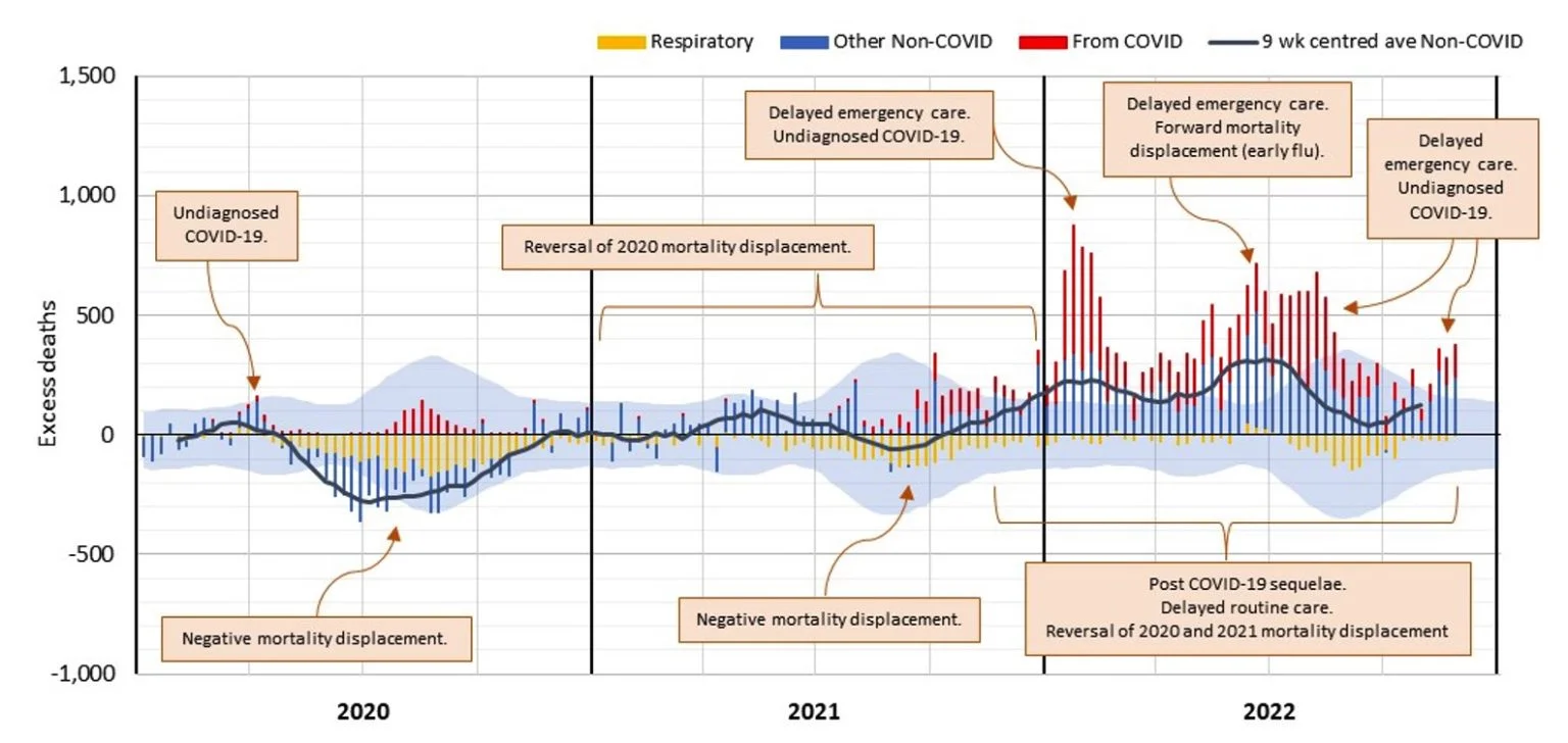 Figure 14 – Possible causes of non-COVID-19 excess mortality from time to time during the pandemic*
