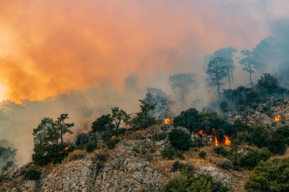 O Rade Musulin Climate Change Risk and Opportunity for the General Insurance Actuary ...