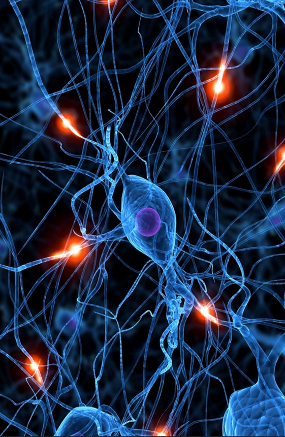 Neural network
