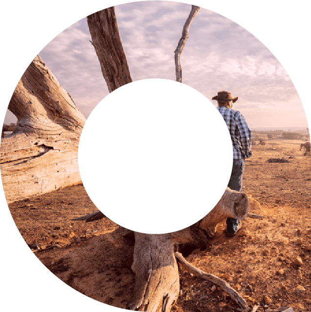 Farmer leaning against a tree in drought within viewfinder shape