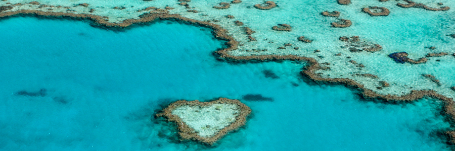 Great Barrier Reef 