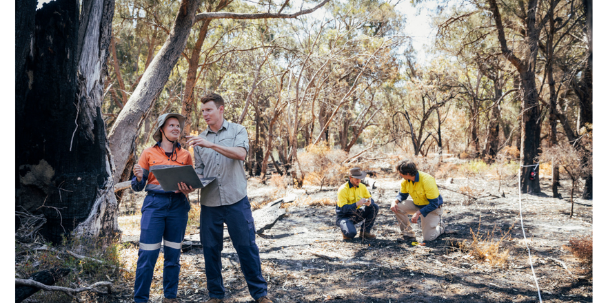 Australian bush damaged by fire