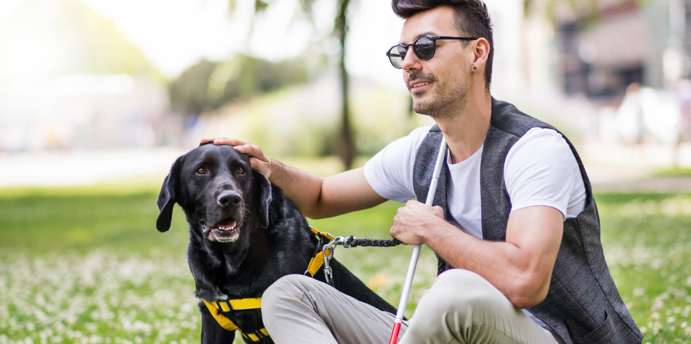 man with sunglasses holding mobility cane sits on grass with black Labrador