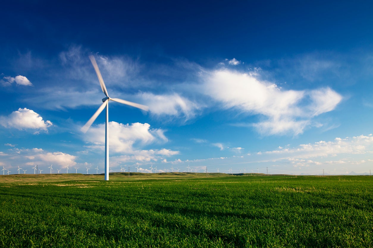 A wind turbine standing in a field. Many more turbines can be seen in the distance.