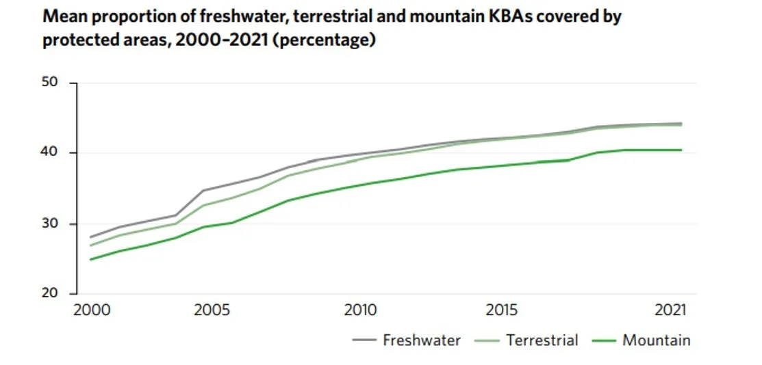 WordPress Image 111248504