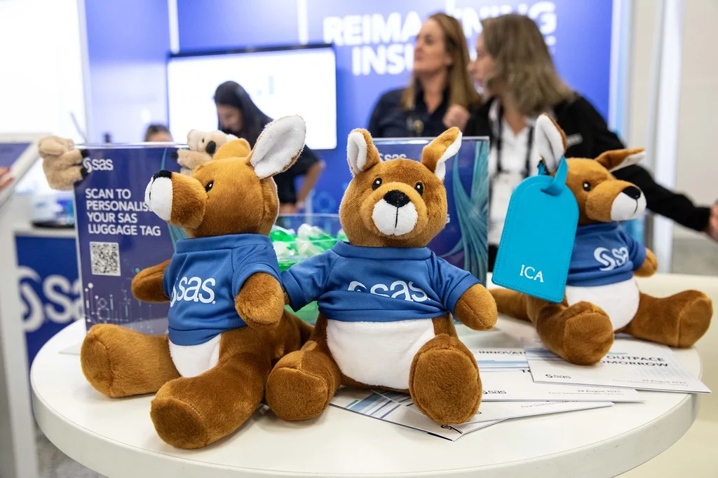 A snapshot of SAS sponsor booth at ICA2023.