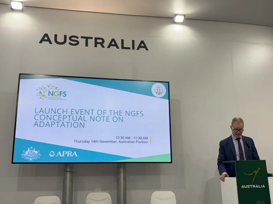 APRA's Sean Carmody speaking at an NGFS session on adaptation at the Australia Pavillion 
