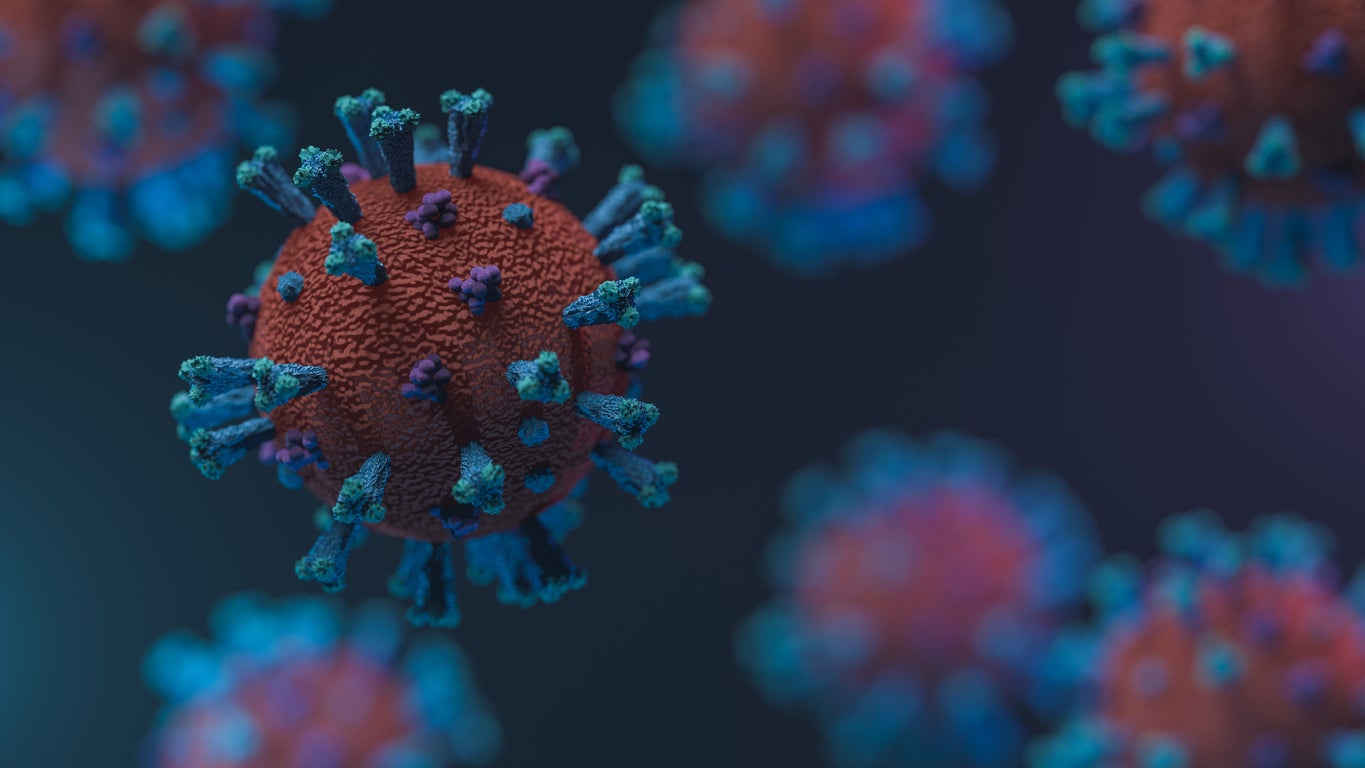 Realistic corona virus closeup
